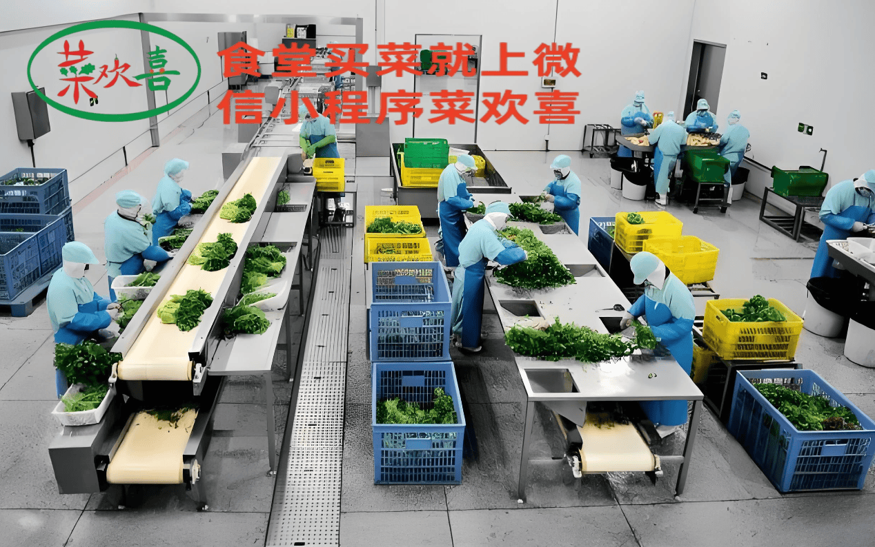 泉州市蔬菜配送市場“菜歡喜”農(nóng)產(chǎn)品銷得快 計算機(jī)信息技術(shù)的應(yīng)用與啟示