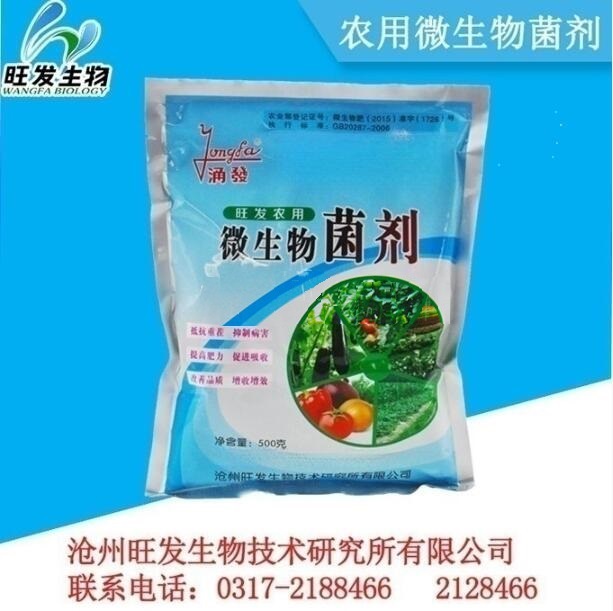 農用微生物菌劑 土壤健康與作物增產的綠色動力